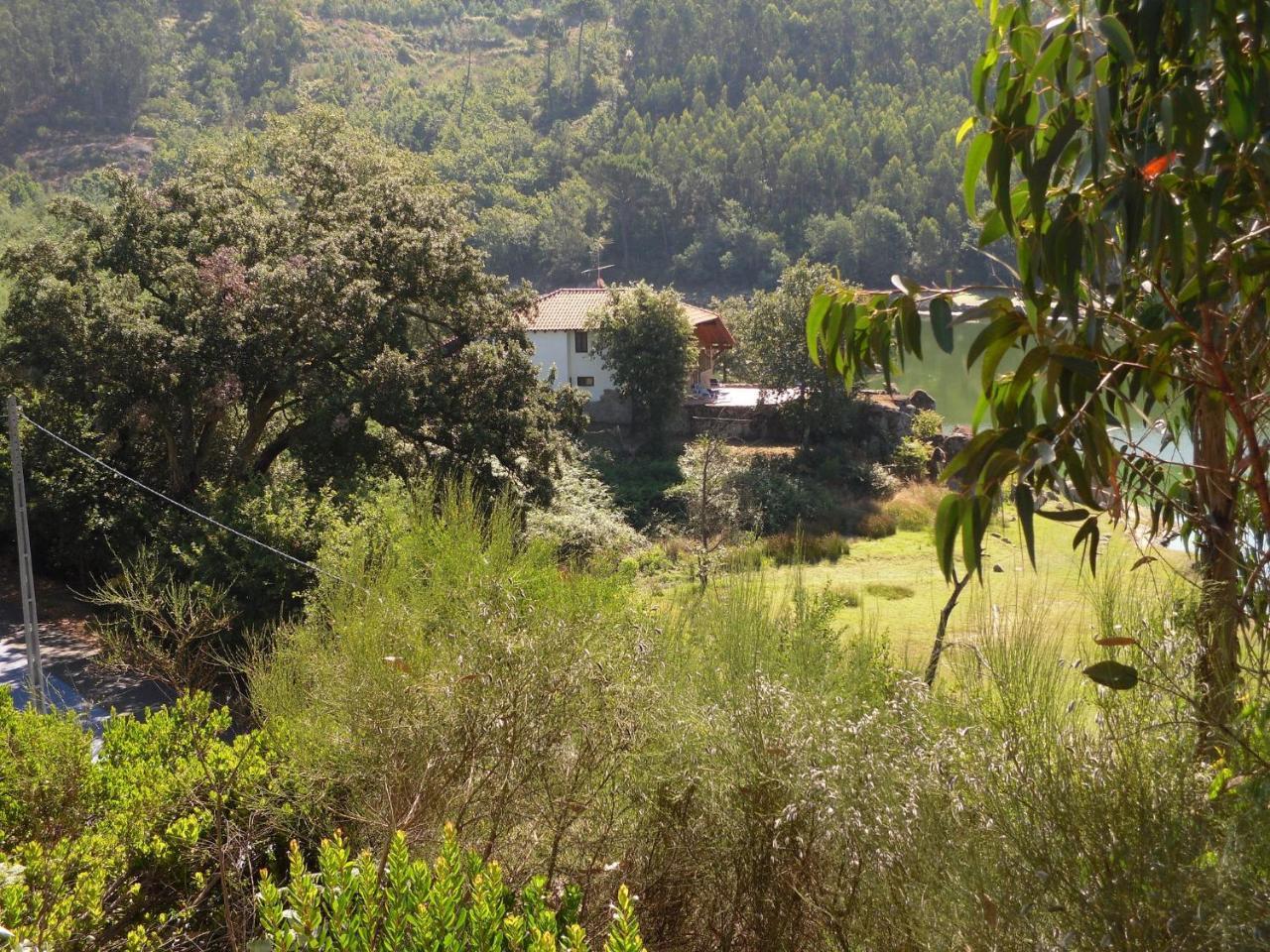 Traditional Mansion In Treixedo With Swimming Pool Luaran gambar